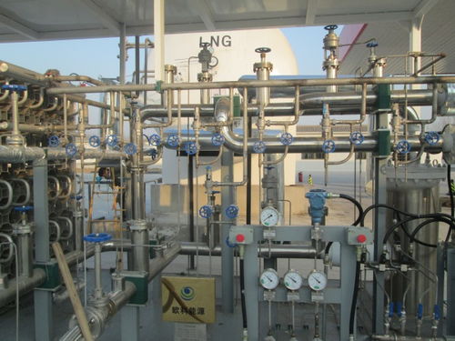 歐科能源技術(shù)公司LPG氣化器廠技術(shù)服務(wù)咨詢