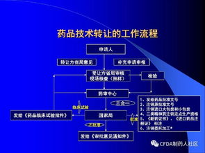 新版《藥品技術(shù)轉(zhuǎn)讓注冊管理規(guī)定》解讀 聚焦技術(shù)服務(wù)的機(jī)遇與挑戰(zhàn)